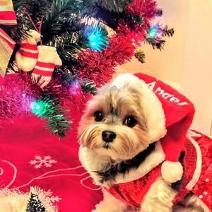 Meet your Posher, Barbara